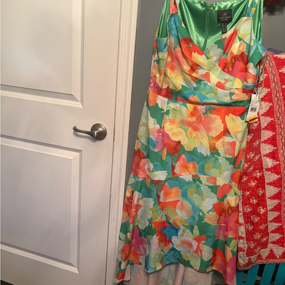 Adrianna Papell Green and Red Floral Dress